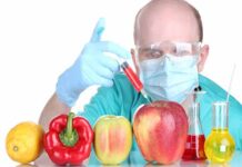 GMOs: Many Issues Around a Technology