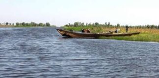 Oldest Boat in Africa: Curator calls for research on 8,000 yr old Nigerian canoe