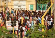 Poll: Nigerians Call For Extension Of NIN Deadline