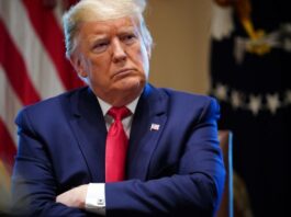 Trump Says He Will Weigh In on Proposed Netflix–Warner Bros. Merger