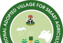 NAVSA: Creating A Viable Smart Agriculture For Nigerian Farmers