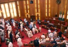 Senate Moves to Establish AI and Tech Innovation Centre in Ekiti