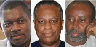 A Rejoinder to Igbo Intellectuals on the Biafran Minister in Buhari’s Government Rudolf Okonkwo, Geoffrey Oyeama and Chido Onumah