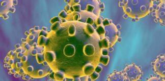 What are fake notary scam emails?