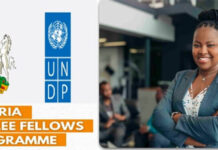 All you need to know about the recently launched Nigeria Jubilee Fellows Programme