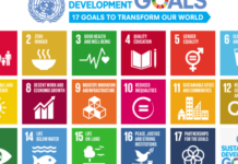 UN Launches First Regional Online Portal To Measure Progress On SDG In Africa