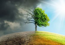 How tech could help spot disasters before they happen