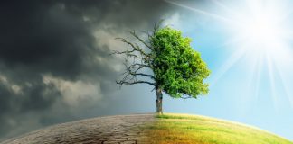 How tech could help spot disasters before they happen