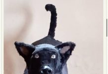 Robotic Dog: A Revolutionary Innovation for Tackling Insecurity in Nigeria Robotic Security Dog