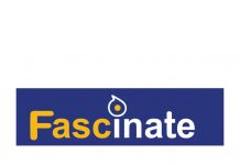 Tech Startup to Reduce Environmental Pollution with Smart Waste Bins