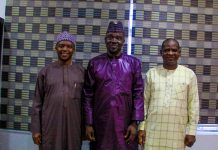 IPI Lauds PRNigeria Centre on Digital Trainings, Mentorship of Young Journalists