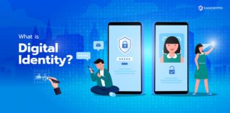 How To Mitigate Fraud In Digital Payments System