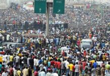 NPC Warns Nigerians Against Fake Census Recruitment Website