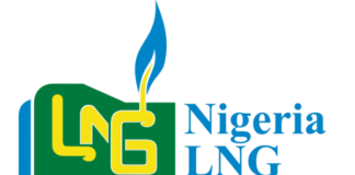 NLNG Science Prize judges receive 107 entries for 2022 cycle NLNG Logo