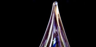 Digital Inclusion: ISACA Honours DG, NITDA With Inspirational Leadership Award