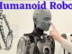 Humanoid Robot Sales Reach 7,000 As Global Industry Bets On Rapid Growth