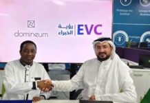 Domineum Partners EVC To Drive Digital Transformation Globally