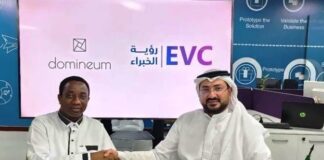 Domineum Partners EVC To Drive Digital Transformation Globally