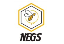 How Nigerian Startup, Negs Empire, Produces Quality Honey Using Technology