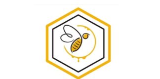How Nigerian Startup, Negs Empire, Produces Quality Honey Using Technology