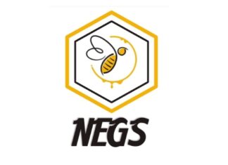 How Nigerian Startup, Negs Empire, Produces Quality Honey Using Technology