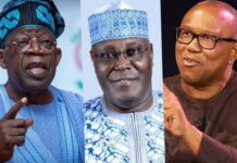 Tinubu leads Obi, Atiku again on Google Search Interest Tinubu, Atiku, Obi