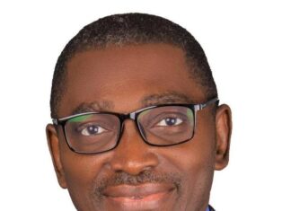 GovGuide Nigeria AI Chatbot: Who Owns or Controls Our Digital Future? Amb. Olusegun O!ugbile Ajasegun