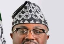 Olubunmi Tunji-Ojo: The Tech Guru who May Become Communications Minister Tunji Ojo