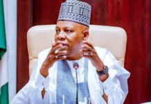 FG to generate two million digital jobs annually – Shettima