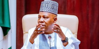 FG to generate two million digital jobs annually – Shettima