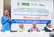 Digitising Agricultural For Smallholder Farmers to Boost Nigeria’s GDP – Kashifu