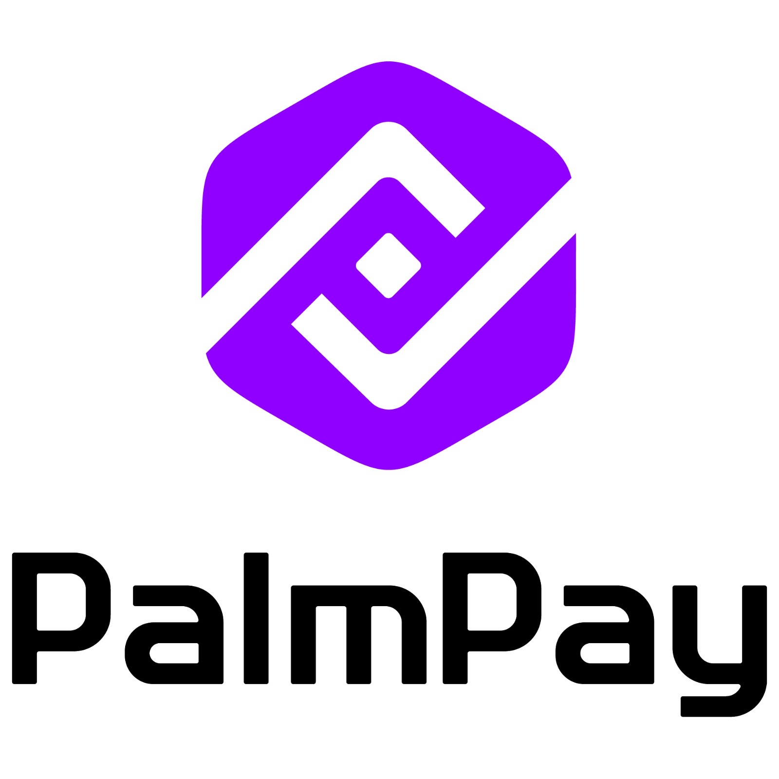 PalmPay urges Nigerians to embrace digital payments