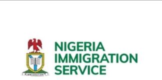 NIS Unveils Plans for Enhanced Border Security NIS LOGO