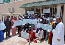 NITDA, KASEDA Train, Empower MSMEs On Digital Marketing