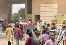 Inside Story of Kano’s Digital Innovation Park Razed by Protesters