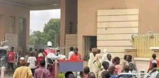 Inside Story of Kano’s Digital Innovation Park Razed by Protesters