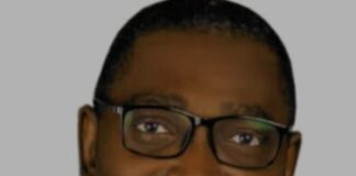 NACCIMA Appoints Olusegun Olugbile as Digital Economy Coordinator Olusegun Olugbile, President of the Global Network for Cybersolution