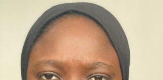 Eight Things to Know About Cybersecurity in Nigeria: Staying Safe in a Digital World Hajara Bisola Abdullahi