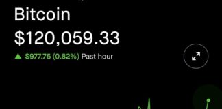 Bitcoin Hits Record High Above $119,000 BITCOIN HIGHEST RECORD