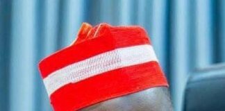 Kano Gov Appoints Yusuf Sharada Special Adviser on Digital Economy