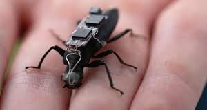 Germany Develops AI-Powered Cyborg Cockroaches for Military Surveillance