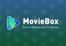 Piracy Whack-a-Mole: Why Shutting Down MovieBox.ng Isn’t Enough, by Shuaib S. Agaka