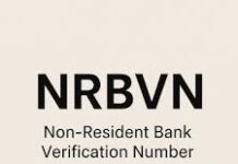 Diaspora Banking Without Borders: How CBN’s NRBVN is Redefining Financial Inclusion, by Shuaib S. Agaka