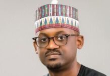 Farouk Gumel to Botswana: Skills and Merits Beyond Borders By Isa Ali Pantami