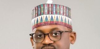 Farouk Gumel to Botswana: Skills and Merits Beyond Borders By Isa Ali Pantami