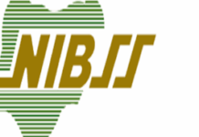 PalmPay, Wema Bank Complete First Live Transaction on NIBSS National Payment Stack