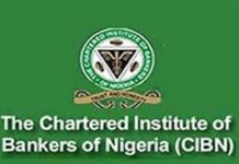 CIBN at Centre of Alleged 250GB Data Breach as Hackers Leak Sensitive Records