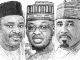 The Gombe Succession: Who is Afraid of the Pantami Factor