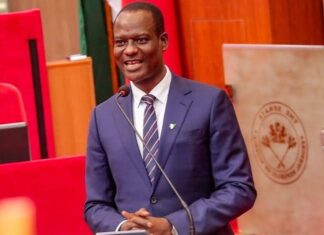 FG Proposes Pan-African Payment Card to Eliminate Dollar Conversions