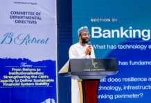 Nigeria Needs Digital Stability to Guarantee Financial Stability – NITDA DG